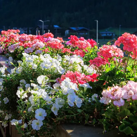 Carla Guest house 3*