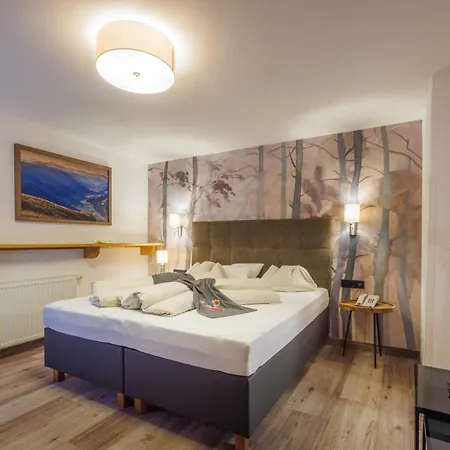 Guest house Carla Mayrhofen