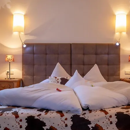 Carla Guest house Mayrhofen